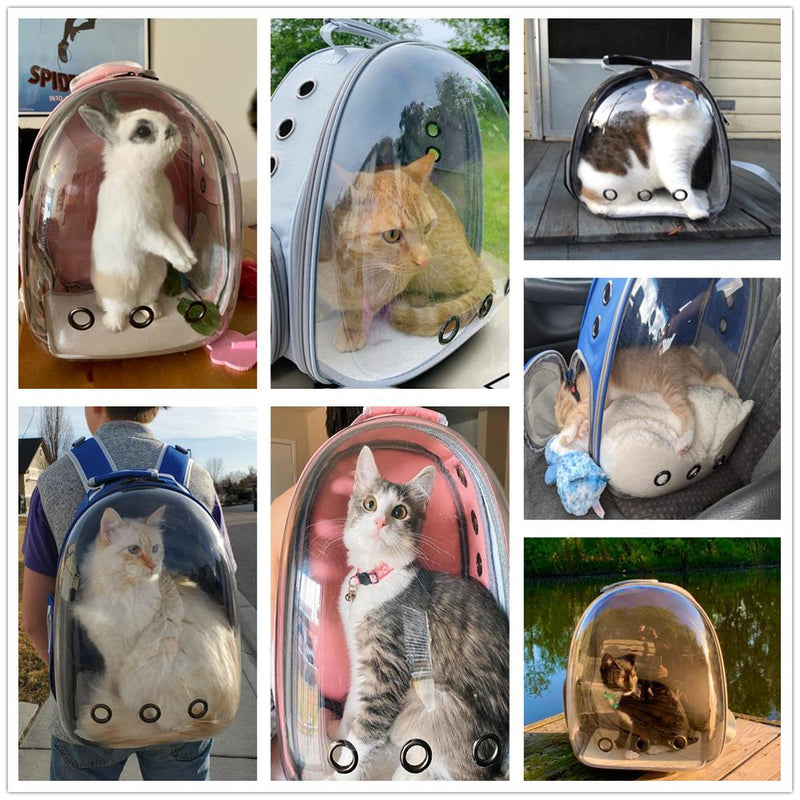 Mochila de Transporte para Gatos - Cat Carrier 