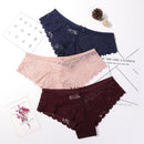 Calcinha em Renda Sexy Lace - Kit com 3 peças 